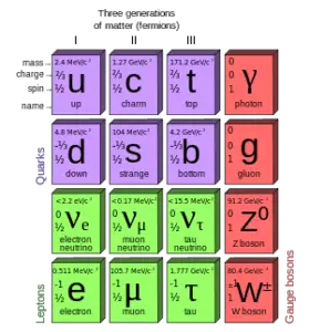 Quarks in Standard Model